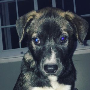 Meet your Posher, Byron